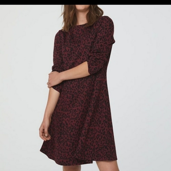 NWT Beach Lunch Lounge‎ Skye animal print Leopard Dress maroon black career M - Picture 3 of 10